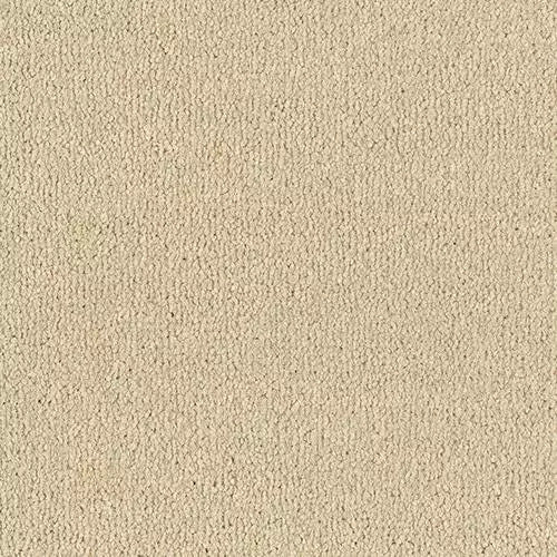 Image Of Stain Free - Arena Plus - Cool Beige