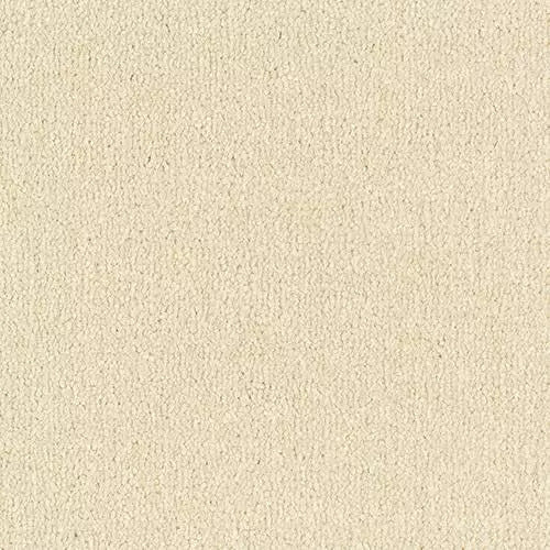 Image Of Stain Free - Arena Plus - Devon Cream