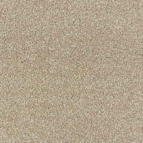 Image Of Stain Free - Olympus - Amaretto