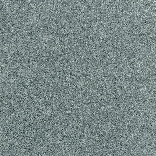 Image Of Stain Free - Olympus - Bluebell