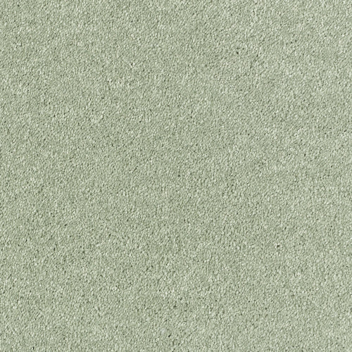 Image Of Stain Free - Olympus - Fern