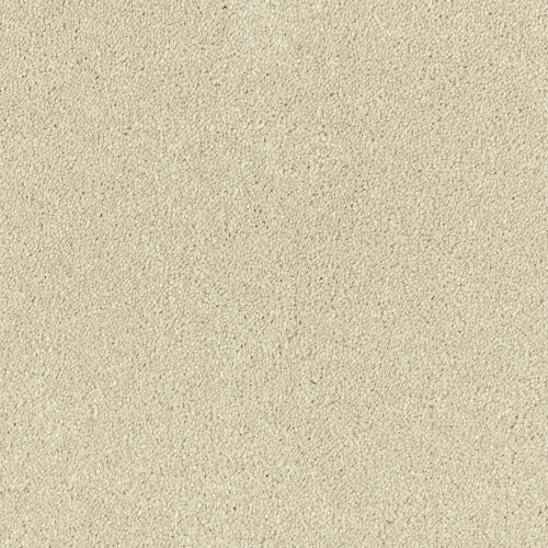 Image Of Stain Free - Olympus - Lace