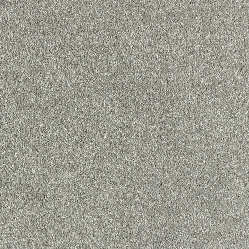 Image Of Stain Free - Olympus - metallic