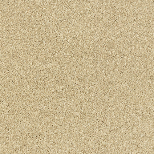 Image Of Stain Free - Olympus - Sahara