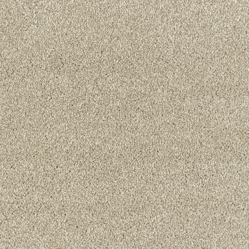 Image Of Stain Free - Olympus - Sandstorm