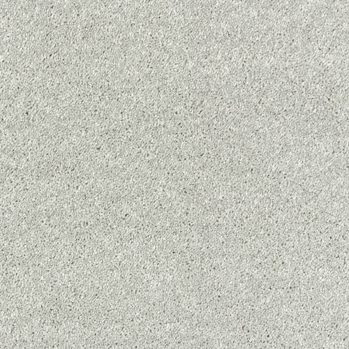 Image Of Stain Free - Olympus - Stardust