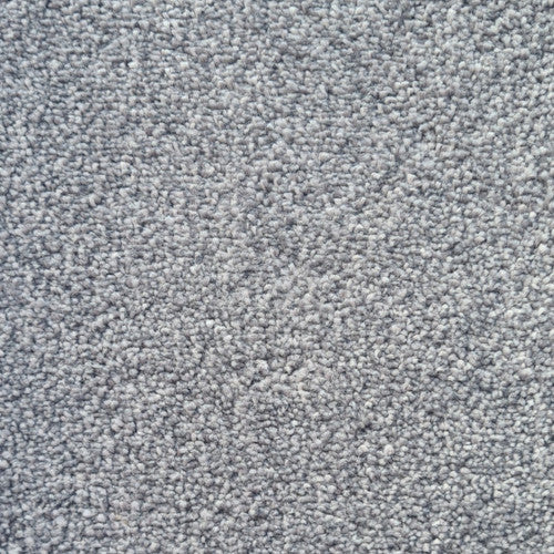 Leonis: Kesari - Persian Cat 950