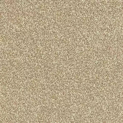 Image Of Stain Free - Ultra - Latte