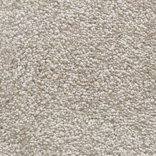 Image Of Venus - Pebble