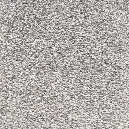 Image Of Venus - Sea Foam